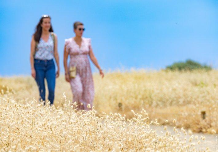 Saint-Hilaire-de-Riez : Une palette de paysages pour les amoureux de la nature en quête de calme et de sérénité