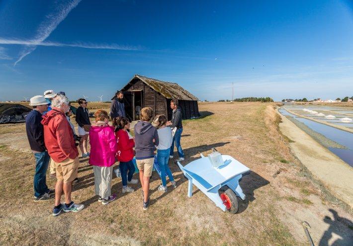 Marais salants de Saint-Hilaire-de-Riez : Découvrez la récolte traditionnelle du sel.