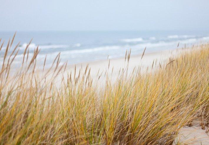 Profitez des plages sauvages et préservées de Saint Jean de Monts