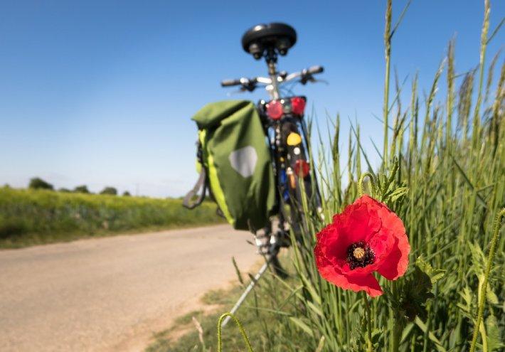 La Vélodyssée passe par Saint Jean de Monts